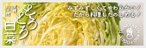 とろとろ白菜