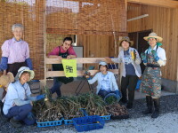 農産物販売と体験のお店「野市場」。自然と農にふれあい、人と情報が集まる拠点に。